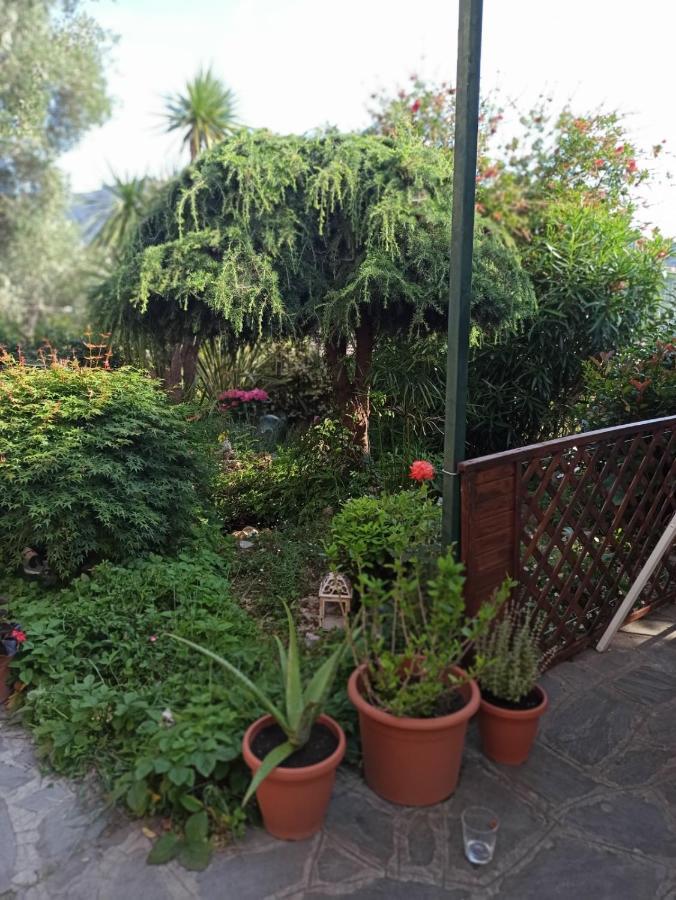 Il Glicine Cozy Appartamnent, Near Sestri Levante Between Cinque Terre E Portofino คาซาร์ซา ลิกูเร ภายนอก รูปภาพ