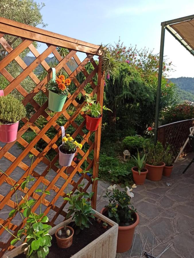 Il Glicine Cozy Appartamnent, Near Sestri Levante Between Cinque Terre E Portofino คาซาร์ซา ลิกูเร ภายนอก รูปภาพ