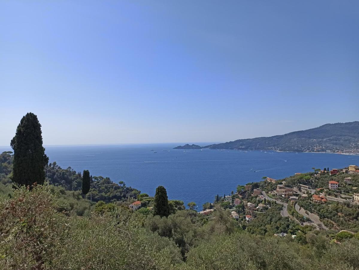 Il Glicine Cozy Appartamnent, Near Sestri Levante Between Cinque Terre E Portofino คาซาร์ซา ลิกูเร ภายนอก รูปภาพ