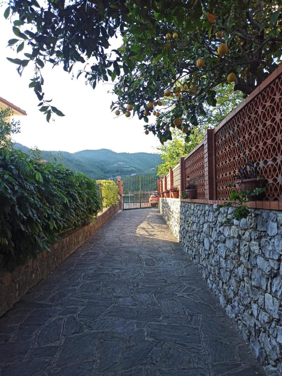 Il Glicine Cozy Appartamnent, Near Sestri Levante Between Cinque Terre E Portofino คาซาร์ซา ลิกูเร ภายนอก รูปภาพ