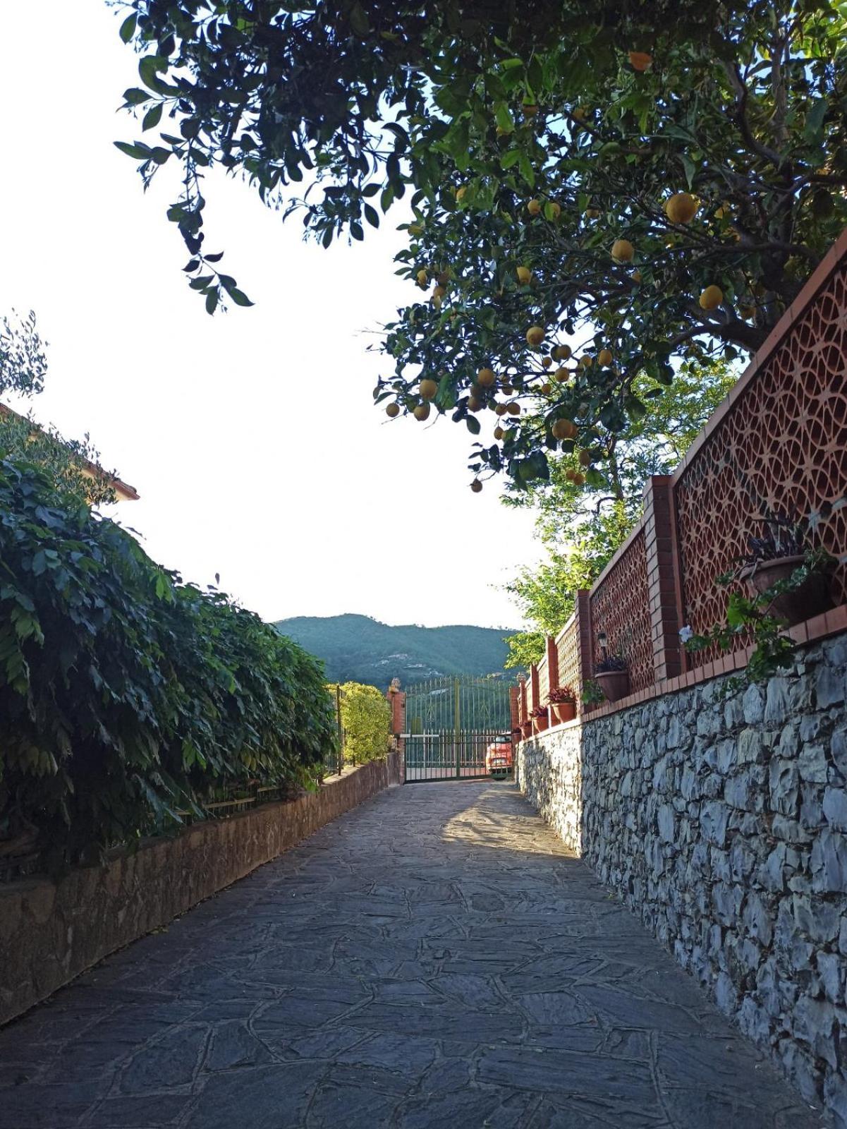 Il Glicine Cozy Appartamnent, Near Sestri Levante Between Cinque Terre E Portofino คาซาร์ซา ลิกูเร ภายนอก รูปภาพ